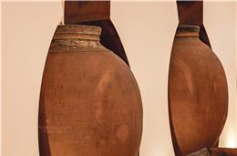 “Tornar o Alentejo uma das principais  regiões de vinhos do mundo”