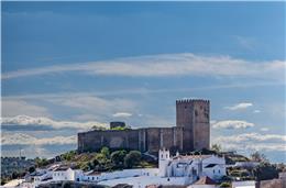 Mário Tomé, Olga Martins, Jorge Revez e Luís Penacho olham para o concelho de Mértola