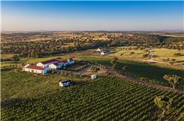 Herdade da Malhadinha Nova: o regresso às castas como expressão do lugar