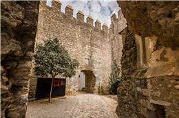 Muralhas de Serpa “necessitam de atenção”