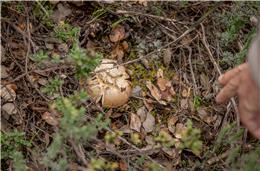 Cabeça Gorda, a aldeia ponderosa do Baixo Alentejo