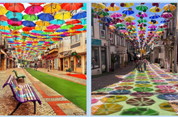 Câmara de Beja anuncia vencedores do orçamento participativo