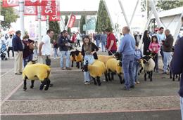 ACOS não convidou governantes devido ao “descontentamento” do setor