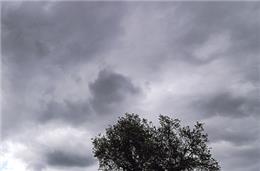 Agricultura e ambiente no Alentejo