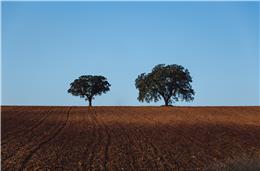 60 milhões do PRR para a região