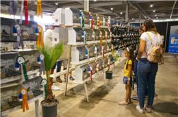 Patrimónios do Sul regressam de 5 a 8 de outubro a Beja