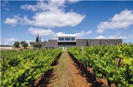 A Ribafreixo Wines integrou-se  no Grupo Terras & Terroir