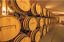 A Herdade da Lisboa abriu as portas ao enoturismo e lançou vinhos monovarietais excecionais