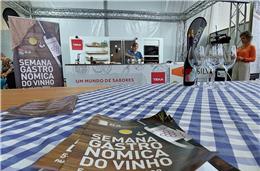 Beja acolhe quinta edição da Semana Gastronómica do Vinho