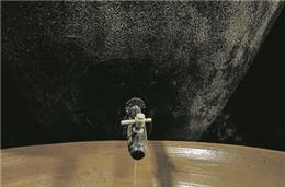 Vitifrades assinala 25 anos de existência