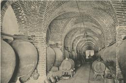 A História do Vinho no Baixo Alentejo [PARTE IV] | Vinha, técnicas, paisagem e mercados no Baixo Alentejo, 1800-1886