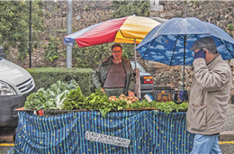 Segundo protocolo assinado, agricultores vão beneficiar de mais 140 milhões em ajudas