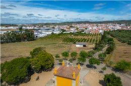 “Estamos a preparar o futuro,  envolvendo a comunidade na definição  de uma estratégia coletiva”