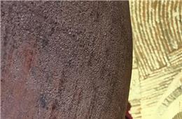 Vila de Frades celebra o vinho de talha e os produtos característicos da região