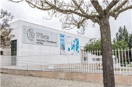 Conselho geral do Instituto Politécnico de Beja deverá estar constituído na totalidade em breve