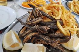 Enguias e outros pitéus na Lagoa de Santo André