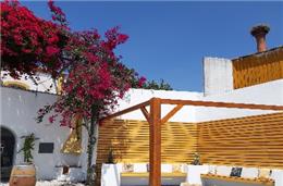 Conferência: Enoturismo é 'imagem de marca' do país