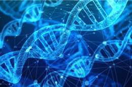 O ADN, a Variação Genética e a  Evolução