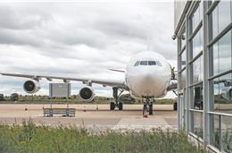 “Sim! Ao Aeroporto de Beja” pede audiências “urgentes” a João Galamba e Augusto Santos Silva
