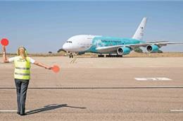 Aeroporto de Beja: João Português  quer “estudo independente”