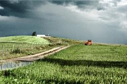 Agricultura gera cada vez menos riqueza nacional