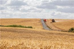 Governo altera regime da pagamentos a jovens agricultores