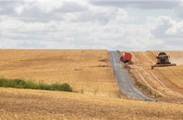 INE regista “quebra acentuada” no rendimento da atividade agrícola da região