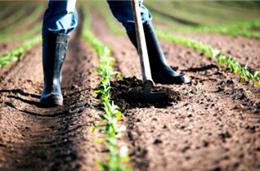 CNA alerta para cenário “difícil” na agricultura