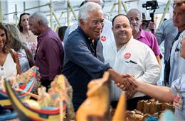 PS com vitória absoluta nos distritos do Alentejo