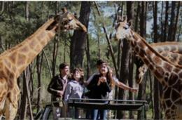 Almodôvar vai ter parque zoológico no valor de 2,2ME