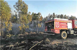 Gabinete Técnico Florestal de Beja recebe apoio financeiro