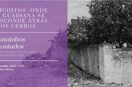 “Caminhando construímos comunidades” no domingo em Mértola