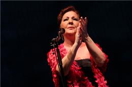 Terras Sem Sombra premeia cultura e ambiente