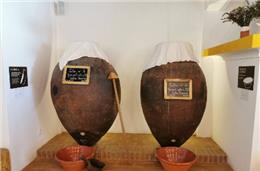 Adega Cooperativa de Vidigueira inaugura Casa das Talhas