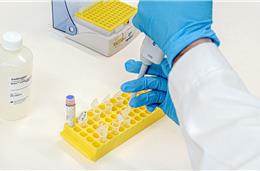 Cebal integra unidade de investigação agrícola e ambiental