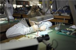 IEFP quer 'revolucionar' formação no litoral alentejano