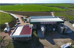 Ervideira cresce e fatura mais de 2,5 milhões em 2019