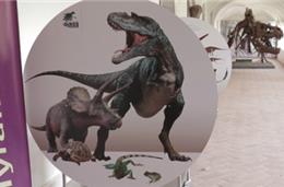 Estremoz: Ciência Viva com mais de 180 mil visitantes