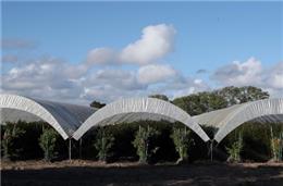 Exportações cresceram no Alentejo