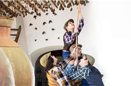 Festival Giacometti decorre até domingo em Ferreira do Alentejo