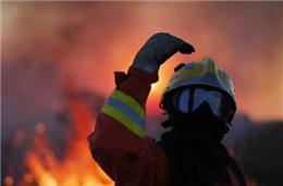 Fogo em Odemira consumiu 200 hectares
