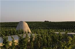 Herdade do Freixo lança vinhos brancos notáveis