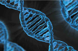 Genética e Preconceito