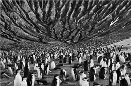 “Génesis”: Exposição de Sebastião Salgado em Évora