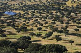 Herdade da Contenda vence Prémio Nacional de Paisagem
