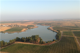 Herdade dos Lagos: Um ecossistema resiliente à mudança climática