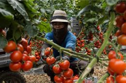 Odemira é “exemplo” de integração de migrantes