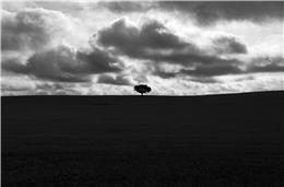 Alentejo é uma das regiões mais sensíveis “à sazonalidade dos mercados de trabalho”