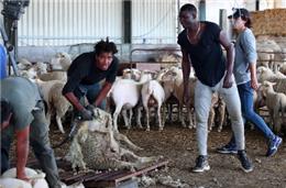 Jogadores trocam campos de futebol pelos agrícolas