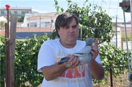 “O Asas não tem comparação com qualquer coletividade”